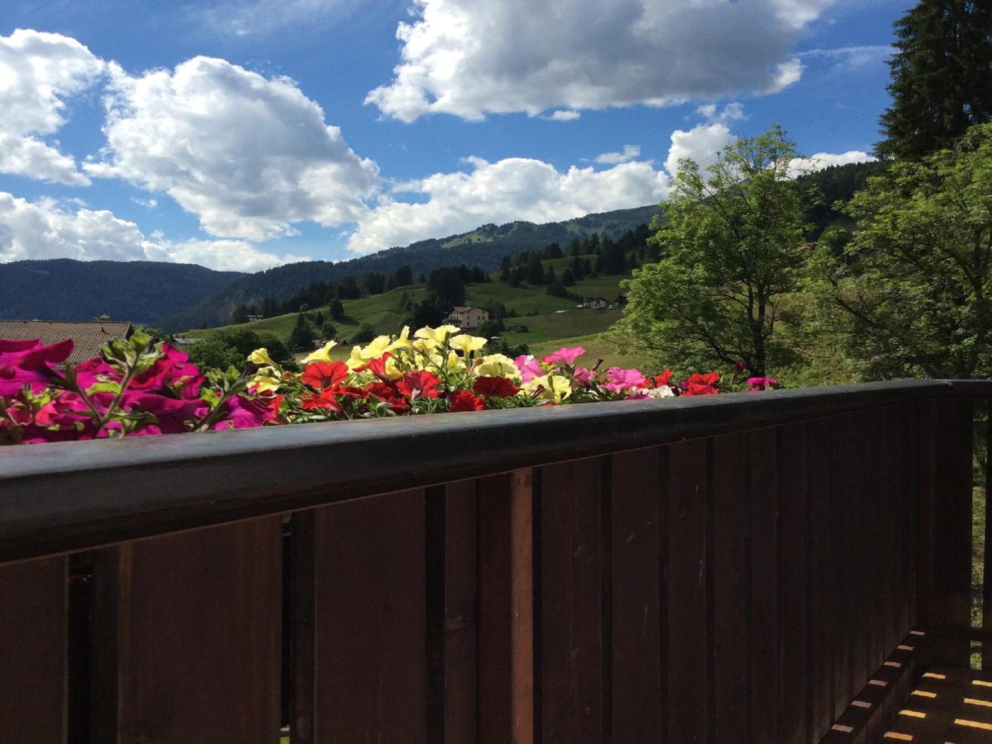 Apartament Centro Thule - Genziana Selva di Cadore Zewnętrze zdjęcie
