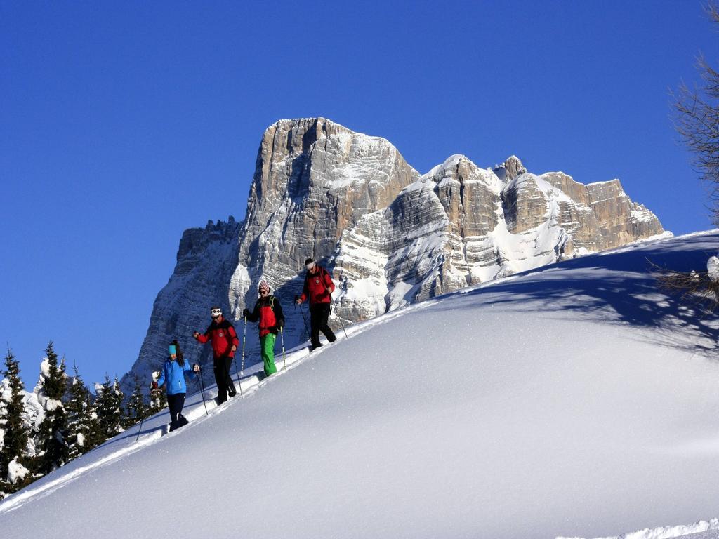 Apartament Centro Thule - Genziana Selva di Cadore Zewnętrze zdjęcie