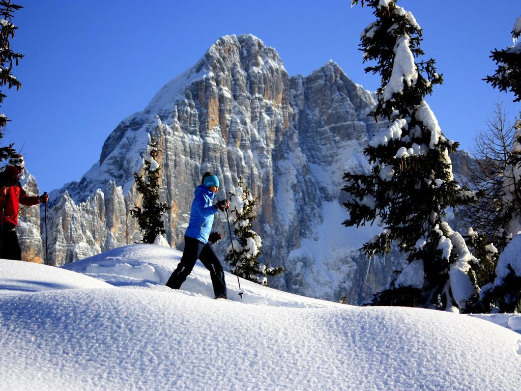 Apartament Centro Thule - Genziana Selva di Cadore Zewnętrze zdjęcie